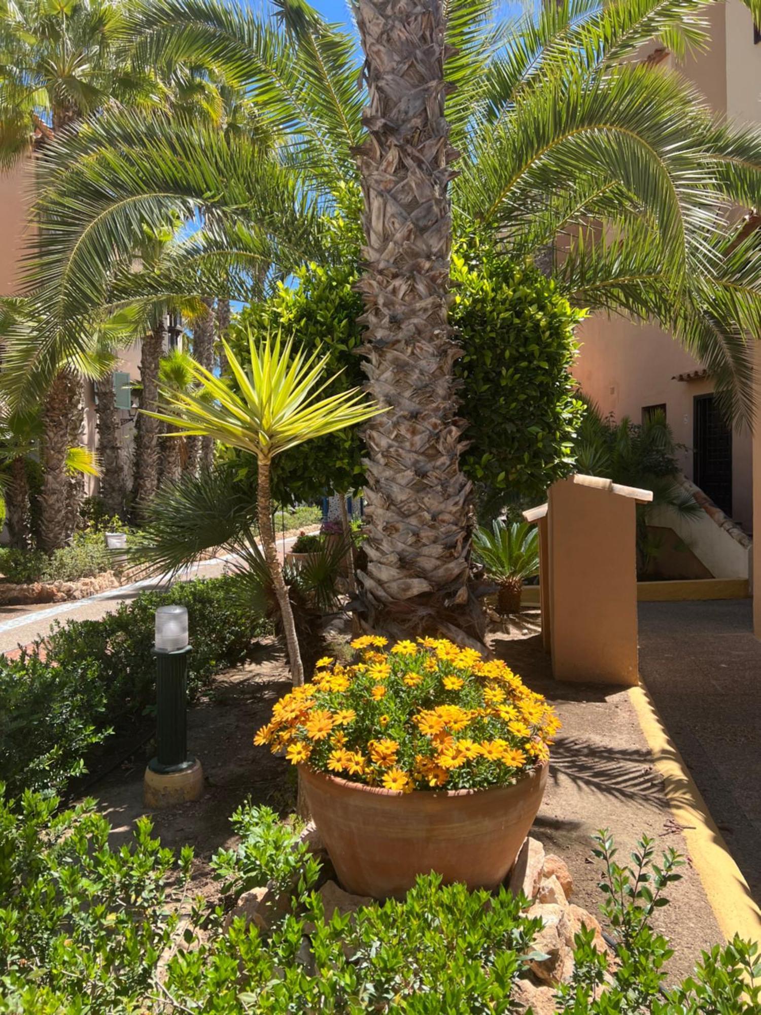 Apartmán Casa Al Mare Aldea Torrevieja Exteriér fotografie